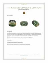 2.55 Ct. Brownish Green Tourmaline from Tanzania Appraisal