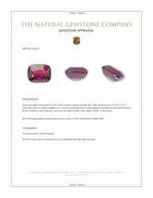 3.49 Ct. Pinkish Red Garnet from Tanzania Appraisal