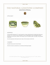 2.79 Ct. Yellowish Green Prasiolite Appraisal