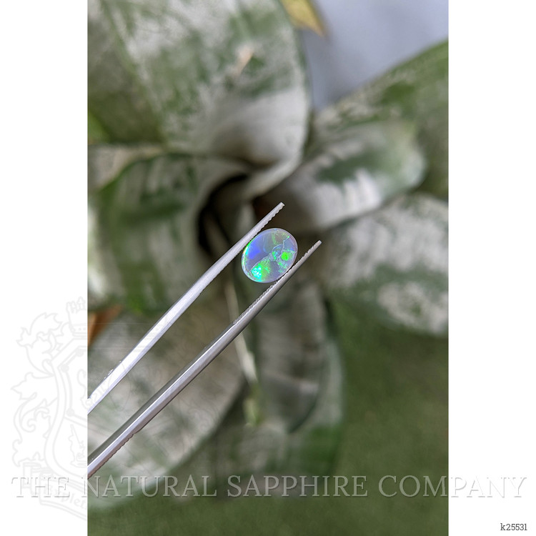 1.66 Ct. Multi Color Cabochon Black Opal from Australia