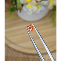 0.88 Ct. Reddish Orange Hessonite Garnet from Madagascar Life Style