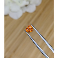 1.17 Ct. Orange Hessonite Garnet from Madagascar Life Style