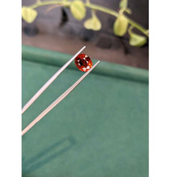 3.06 Ct. Reddish Orange Spessartite Garnet from Tanzania Life Style