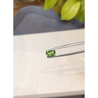 1.61 Ct. Tsavorite Garnet from Tanzania Life Style
