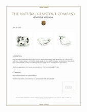 8.62 Ct. Beryl from Ceylon (Sri Lanka) Appraisal