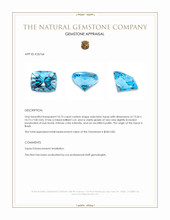 10.75 Ct. Swiss Blue Topaz from Brazil Appraisal