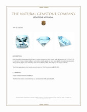8.03 Ct. Sky Blue Topaz from Brazil Appraisal