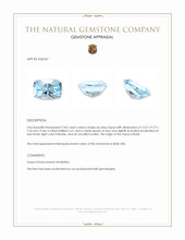7.82 Ct. Sky Blue Topaz from Brazil Appraisal