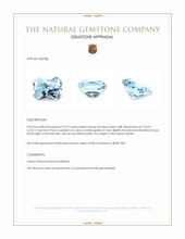 16.10 Ct. Sky Blue Topaz from Brazil Appraisal