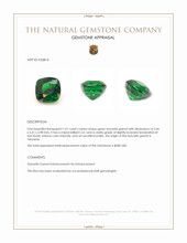 1.01 Ct. Tsavorite Garnet from Tanzania Appraisal