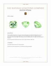 1.02 Ct. Green Tourmaline from Tanzania Appraisal