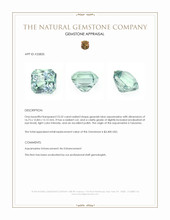 23.32 Ct. Greenish Blue Aquamarine from Tanzania Appraisal