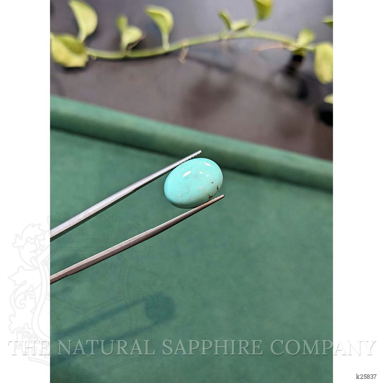 7.21 Ct. Greenish Blue Cabochon Turquoise from Persia(Iran)