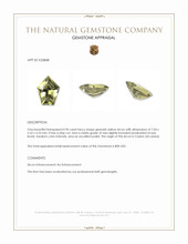 0.90 Ct. Greenish Yellow Zircon from Ceylon (Sri Lanka) Appraisal