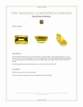 25.94 Ct. Yellow Citrine from Ceylon (Sri Lanka) Appraisal