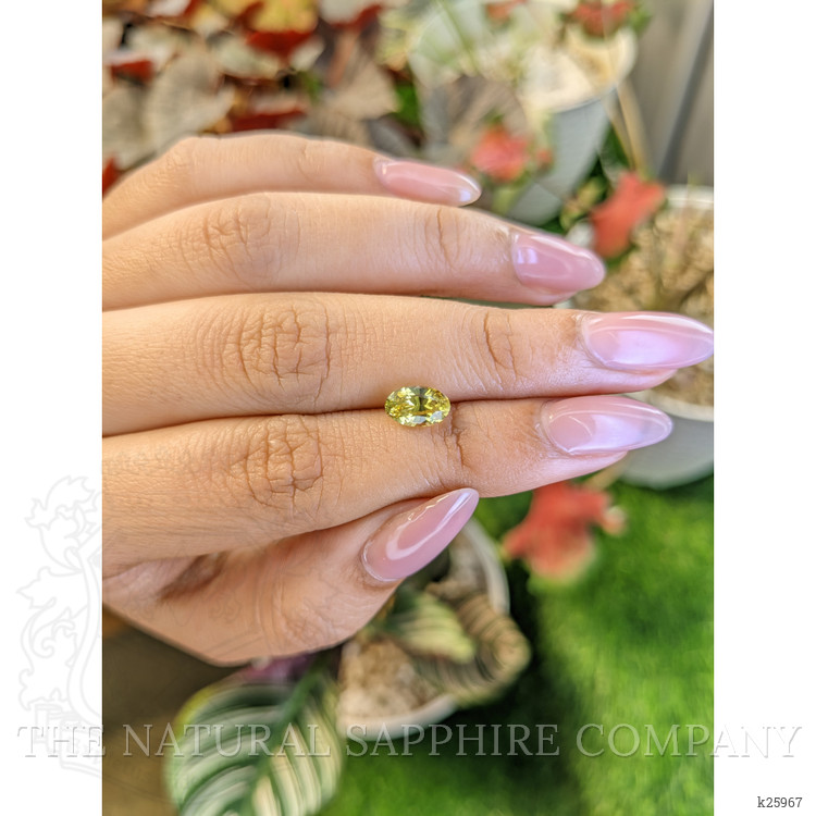 1.56 Ct. Greenish Yellow Chrysoberyl from Ceylon (Sri Lanka)