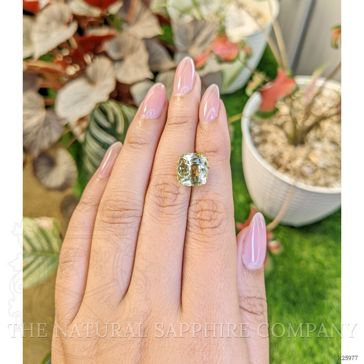 8.30 Ct. Greenish Yellow Chrysoberyl from Ceylon (Sri Lanka)