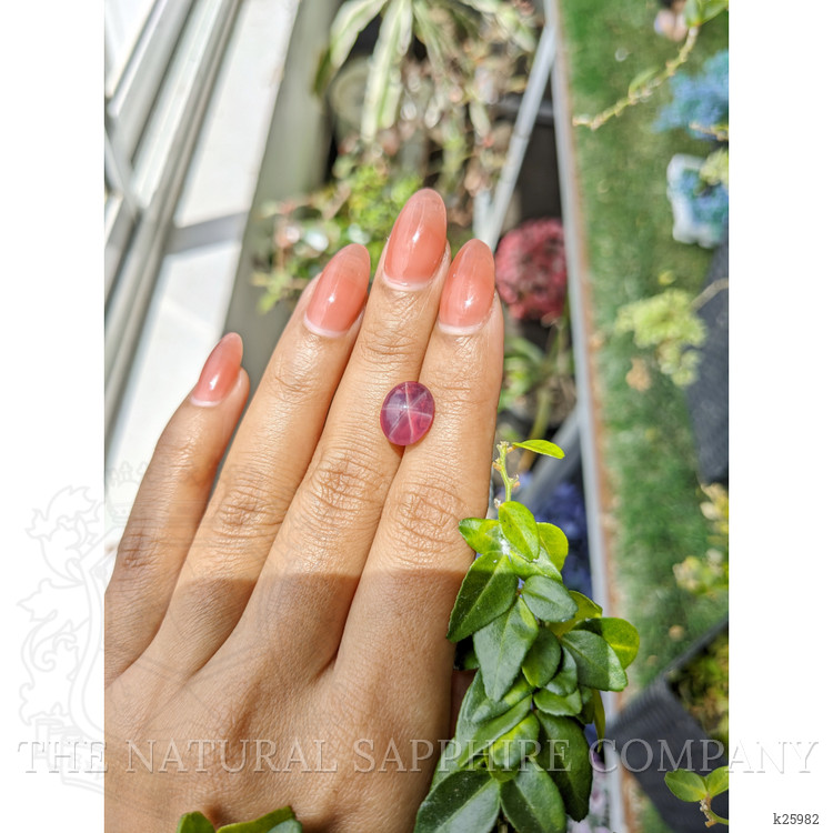 5.46 Ct. Pink Star Rose Quartz from Ceylon (Sri Lanka)