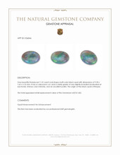 1.22 Ct. Multi Color Cabochon Black Opal (Dark Opal) from Ethiopia Appraisal