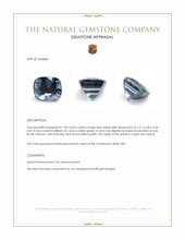 1.00 Ct. Blue Spinel from Ceylon (Sri Lanka) Appraisal