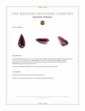 3.36 Ct. Purplish Red Almandine Garnet from Ceylon (Sri Lanka) Appraisal