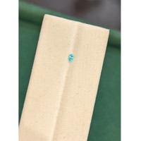 0.05 Ct. Bluish Green Paraiba Tourmaline from Brazil Life Style