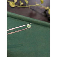 1.03 Ct. Green Paraiba Tourmaline from Mozambique Life Style