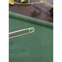 1.16 Ct. Green Paraiba Tourmaline from Mozambique Life Style