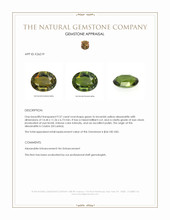 9.57 Ct. Alexandrite from Ceylon (Sri Lanka) Appraisal