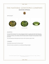 9.57 Ct. Alexandrite from Ceylon (Sri Lanka) Appraisal