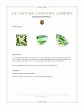 13.07 Ct. Yellowish Green Prasiolite from Brazil Appraisal