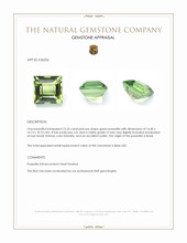 15.55 Ct. Green Prasiolite from Brazil Appraisal