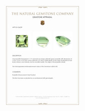 11.19 Ct. Yellowish Green Prasiolite from Brazil Appraisal