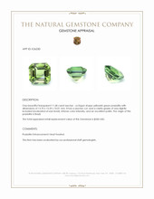 11.68 Ct. Green Prasiolite from Brazil Appraisal