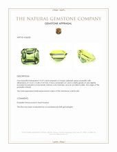 10.59 Ct. Yellowish Green Prasiolite from Brazil Appraisal