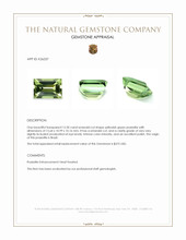 12.50 Ct. Yellowish Green Prasiolite from Brazil Appraisal