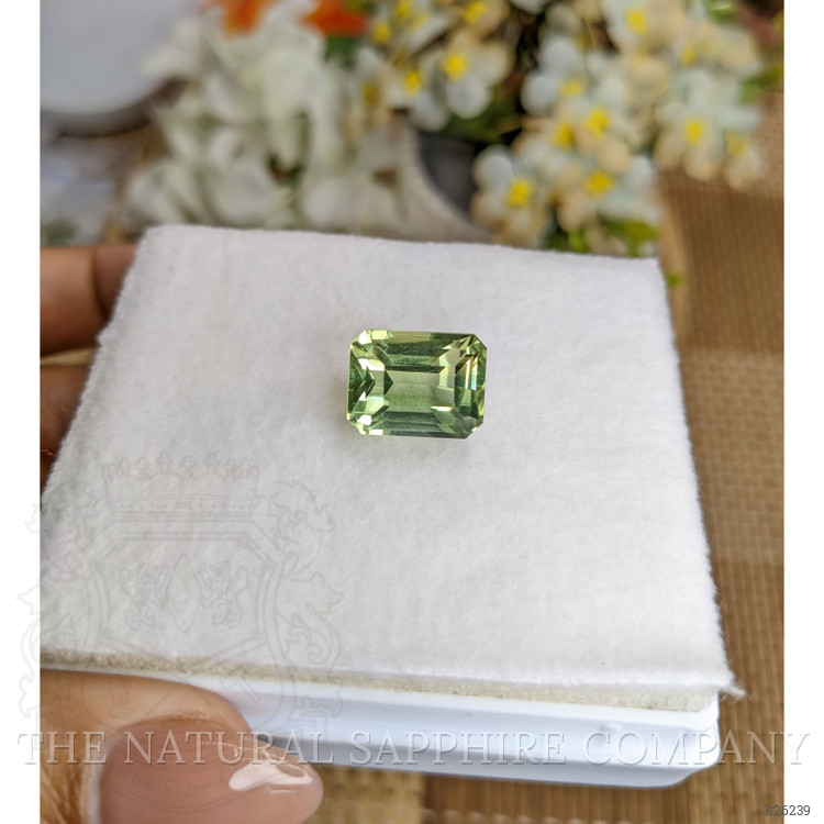 9.81 Ct. Yellowish Green Prasiolite from Brazil