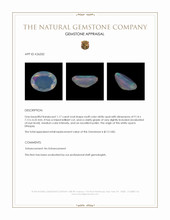 1.17 Ct. Multi Color White Opal (Light Opal) from Ethiopia Appraisal