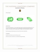 1.27 Ct. Tsavorite Garnet from Tanzania Appraisal