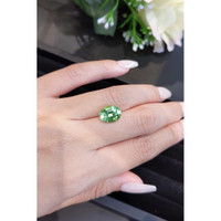 4.16 Ct. Tourmaline from Mozambique Life Style