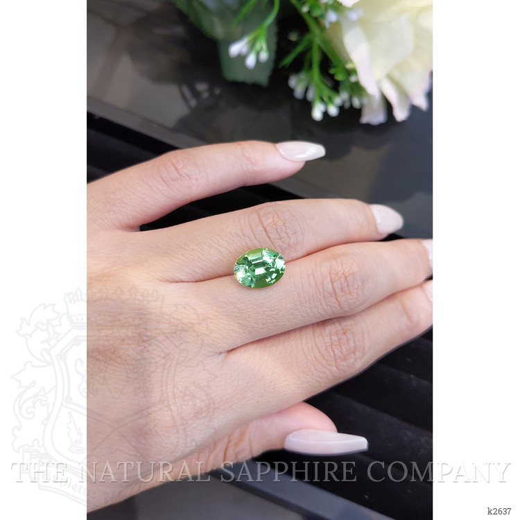 4.16 Ct. Tourmaline from Mozambique