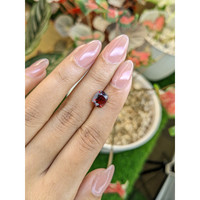 2.82 Ct. Red Garnet from Ceylon (Sri Lanka) Life Style