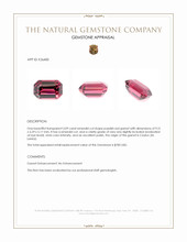 3.09 Ct. Purplish Red Garnet from Ceylon (Sri Lanka) Appraisal