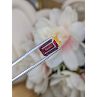 3.39 Ct. Reddish Pink Garnet from Ceylon (Sri Lanka) Life Style