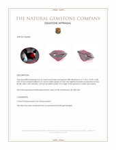 6.56 Ct. Red Garnet from Ceylon (Sri Lanka) Appraisal