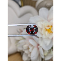 6.56 Ct. Red Garnet from Ceylon (Sri Lanka) Life Style