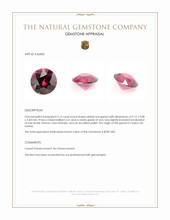 3.14 Ct. Pinkish Red Garnet from Ceylon (Sri Lanka) Appraisal