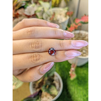 3.06 Ct. Red Garnet from Ceylon (Sri Lanka) Life Style