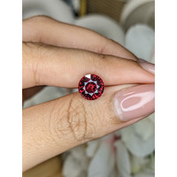 3.06 Ct. Red Garnet from Ceylon (Sri Lanka) Life Style