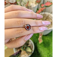 6.07 Ct. Red Garnet from Ceylon (Sri Lanka) Life Style